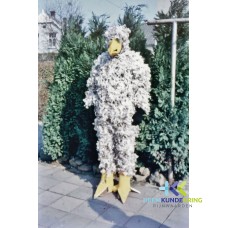 Carnaval 1976 Coll. F.Janssen (2)